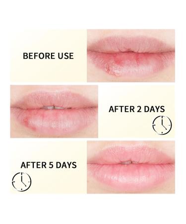 ISHERBIN Lip Sleeping Mask Lip Collagen - 0.7 Oz. - Buy Online on GoSupps.com