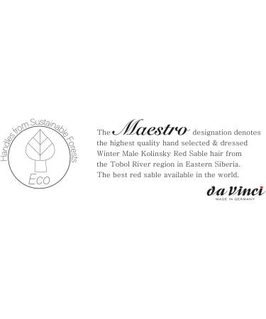 da Vinci Maestro Kolinsky Red Sable Series 10 Watercolor Brush Set - Sizes 3, 4, 5 - Buy Online on GoSupps.com
