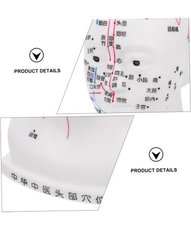 Minkissy Realistic Acupuncture Point Model - Hospital & Laboratory Supplies for Head Massage | 22x12x8cm PVC Scalp Pin Model - Buy Online on GoSupps.com