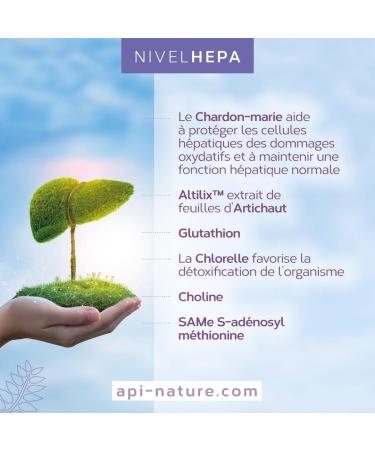 Nivelhepa 40 Capsules | Milk Thistle Artichoke Extract Choline Chlorella SAMe and Glutathione | Liver Protection and Detoxification | Liver Detox Api-Nature - Buy Online on GoSupps.com