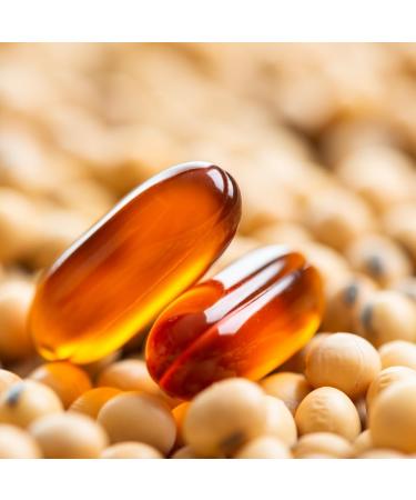  Bongiovanni Sunflower lecithin 500 g - Buy Online on GoSupps.com