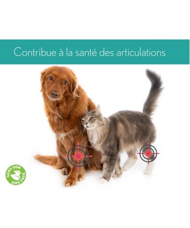 Ferme Olim ga Camelina Oil for Dogs and Cats 500ml Rich in polyunsaturated omega-3 Vitamin E. Pure and Cold Pressed. Joint Fur and Skin. Product of Canada. - Buy Online on GoSupps.com