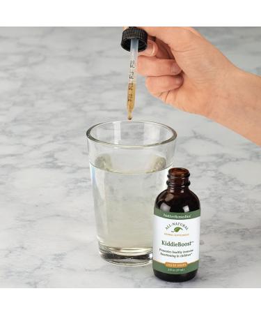 Native Remedies KiddieBoost - Natural Herbal Supplement for Kids' Immune Support | 2 Fl oz - Buy Online on GoSupps.com