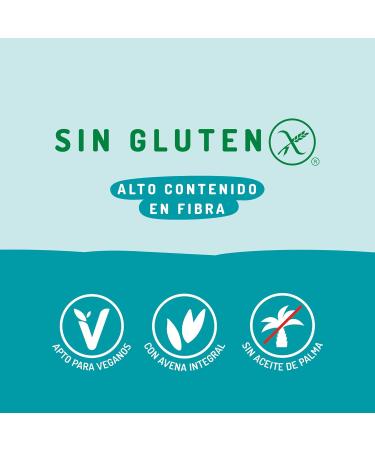 GRANOLA CONE CHOCOLATE Y COCONUT SIN GLUTEN ORGANIC 350 GR - Buy Online on GoSupps.com