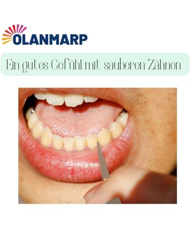 Olanmarp Flexible Silver Leaf Toothpick - Hygienic & Antibacterial On-the-Go Tooth Cleaning - Made in EU - Buy Online on GoSupps.com