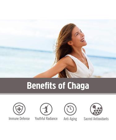 Om Mushroom Superfood Chaga Powder - Organic 3.5 oz, 50 Servings, Antioxidants & Immune Support - Buy Online on GoSupps.com