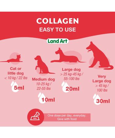 Pet Collagen Supplement Joint Care Formula with Grass Fed Beef Hydrolyzed Collagen Natural Beef Flavor - 500ml GMO Free Gluten Free Sugar Free - Made in Canada - Buy Online on GoSupps.com