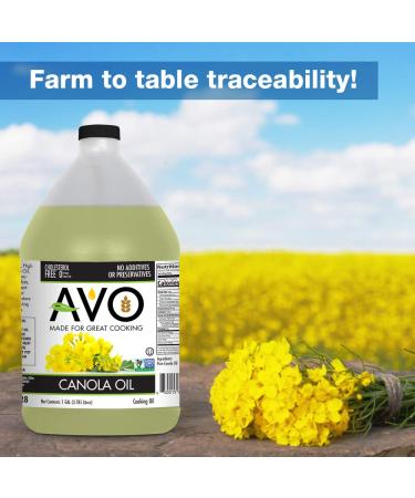 AVO Non-GMO Expeller Pressed Canola Oil - 1 Gallon | Certified & High-Quality - Buy Online on GoSupps.com