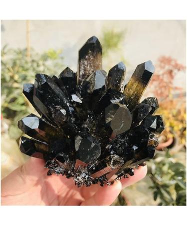 Crystal Natural Rock Quartz Crystal Cluster Smoky Crystal Specimen Home Decoration Gemstone Crystal FUZEGRDLI (Size : 750-800g) - Buy Online on GoSupps.com