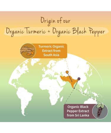Vegavero Organic Turmeric 14620mg | Curcumin 158mg | Curcuma with Black Pepper | Piperine + Curcuminoids | NO Additives | Vegan - Buy Online on GoSupps.com