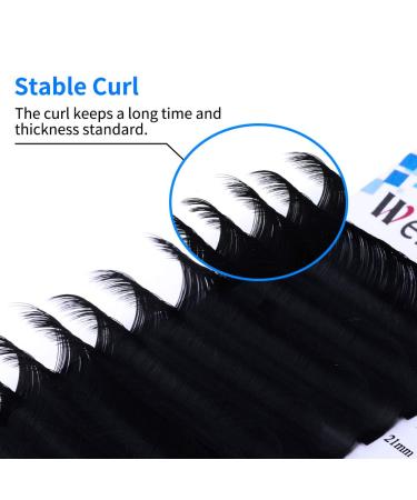 Eyelash Extensions D Curl 20-25mm | Silk Individual Lashes 0.20mm | Classic Extensions for Salon Use by WENDY LASHES - Buy Online on GoSupps.com