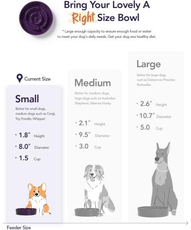 LE TAUCI Ceramic Slow Feeder Dog Bowl - Medium 1.5 Cups Maze Purple - Non-Slip & Chew-Resistant Puppy Food Bowl for Fast Eaters - Buy Online on GoSupps.com