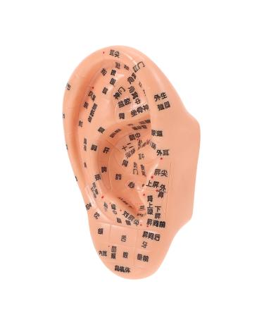 1pc Massage Ear Model Ear Point Model Ear Massage Tool Acupuncture Points Model Ear Anatomy 3D Tcm Tool Ear Acupuncture Model Ear Massage Model Artificial Ear PVC