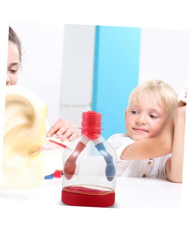 Lurrose Lung Demonstration Model Sports Toy Set - Educational Teaching Aid for Children - Buy Online on GoSupps.com