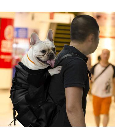 Woolala Light Weight Pet Carrier Backpack for Small and Medium Dogs Veterinarian Approved Safe Bag for Travel - Easy Take Space Saving (L Upgraded- Black) L Upgraded- Black - Buy Online on GoSupps.com