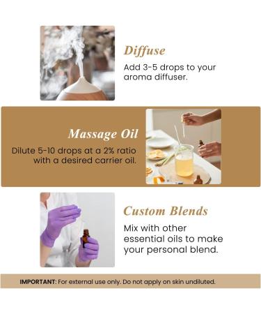 Handcraft Blends Ground & Center Set: Frankincense and Cedarwood Essential Oils (2 x 4 Fl Oz) 100% Pure & Natural for Diffuser Aromatherapy and DIY Projects - Buy Online on GoSupps.com