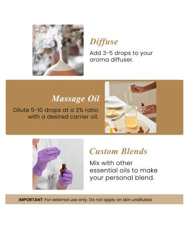 Handcraft Blends Youthful Glow Set: Jojoba Oil (8 Fl Oz) and Frankincense Essential Oil (4 Fl Oz) 100% Pure & Natural Anti-Aging Serum Blend for Face and Neck - Buy Online on GoSupps.com