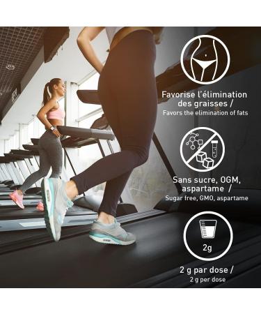 L-Carnitine Liquid Pro Zero Vegan Carnitine Enriched with Green Tea Sugar Free Fat Burner for Sports Draining Slimming Drink L-Carnitine French Laboratory Eric Favre Apple Kiwi - Buy Online on GoSupps.com