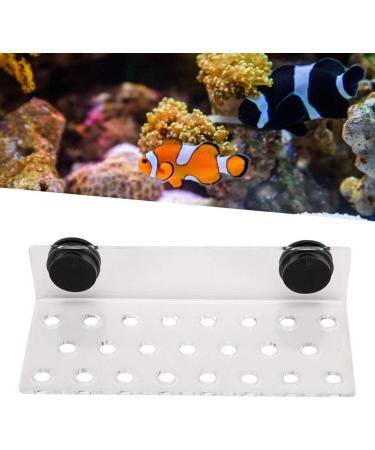 Zerodis Aquarium Coral Rack Bracket - Acrylic Transparent 23 Hole Frag Rack with Strong Suction for Coral Accessories - Buy Online on GoSupps.com