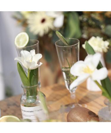 100 Pcs Disposable Clear Champagne Flutes - 5oz Plastic Wine Glasses for Party Wedding - Assemble Plastic Champagne Cups - Cocktail Cups - Buy Online on GoSupps.com
