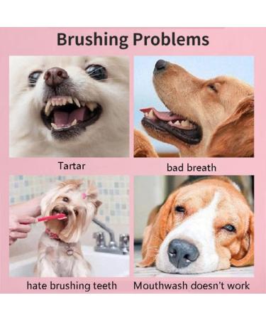 2 Pcs Pet Toothbrush Small Dog Toothbrush Soft Toothbrush for Cat 360 Degree Round Teeth Care Pet Teeth Cleaning for Puppy Small Dog and Cat - Buy Online on GoSupps.com