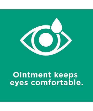 Systane Nighttime Lubricant Eye Ointment 2 Pack - Preservative-Free Relief for Dry Eyes | International Shipping Available - Buy Online on GoSupps.com