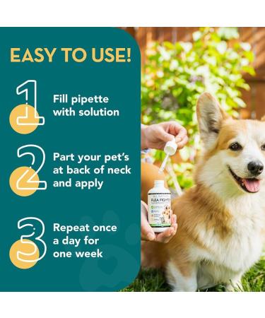 The Healthy Dog Co Spot On Flea and Tick Treatment for Dogs 100ml - Buy Online on GoSupps.com