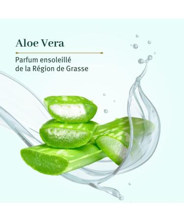 LE PETIT OLIVIER - Freshness Deodorant - Aloe Vera - Proven Effectiveness 24 hours - Alcohol-Free - Anti-Traces - 98% Natural Origin - Skin-Friendly - Made in France - 75 ml - Buy Online on GoSupps.com