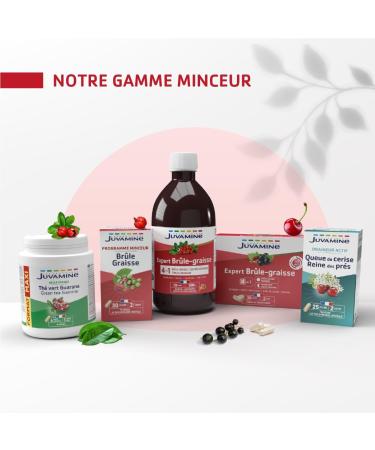 JUVAMINE - Expert 4-in-1-500mL Fat Burner - Fat Burner - Weight Control - Tone - Drainage - 10 Day Program - Sugar Free - Citrus Flavor - Buy Online on GoSupps.com