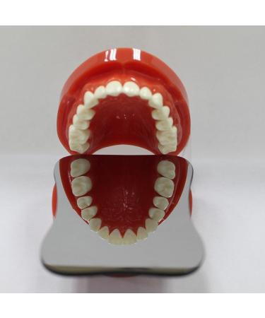 Denshine Dental Intraoral Orthodontic Photo Mirror 1 sided