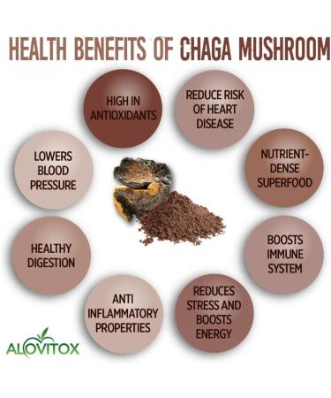 Chaga mushroom powder 400 capsules 500 mg each capsule - Buy Online on GoSupps.com