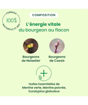 Herbalgem Organic gum 45 g - Buy Online on GoSupps.com