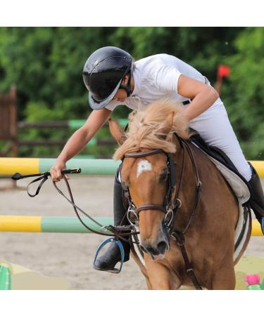 Aisto 18 Inch Riding Crop with Double Slapper | Leather Equestrian Jump Bat in Black Purple - Buy Online on GoSupps.com