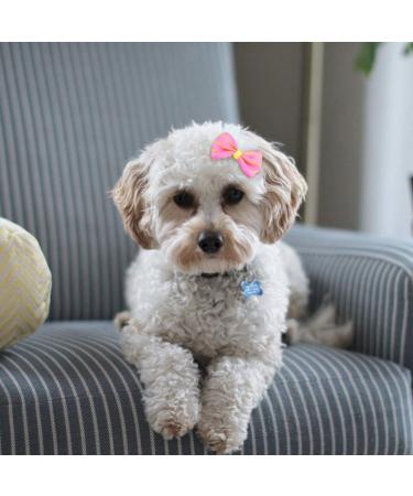 Buy Balacoo 10-Piece Animal Hair Loops with Crocodile Terminals - Bowknot Hair Clips for Small Dogs Cats and Kittens | Pet Hair Care Accessories in Random Colors - Buy Online on GoSupps.com