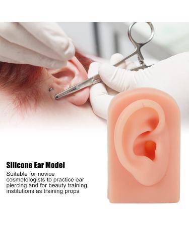 Flexible Reusable Human Ear Model - Soft & Easy to Use for Headphones Display and Acupuncture Training (Light Complexion) - Buy Online on GoSupps.com