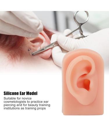 Soft Simulated Right Ear Model - Ideal for Acupuncture Training and Earrings Display (Light Skin Color) - Buy Online on GoSupps.com