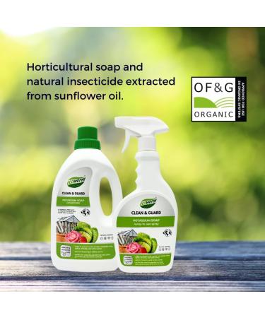 Potassium Soap Concentrate 34 fl oz - Premium Eco-Friendly Cleaning for All Surfaces | International Shipping Available - Buy Online on GoSupps.com