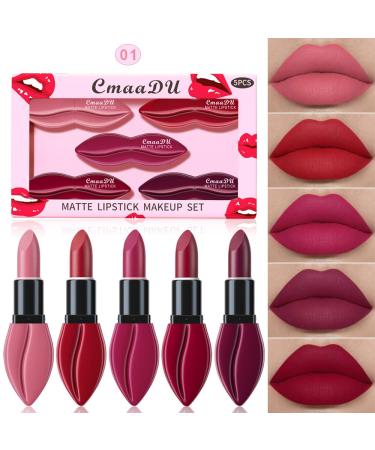 FAEYLI 5Pcs Matte Velvet Lipstick Makeup Set Long Lasting Women Lip Stain (Lipstick Set 01)