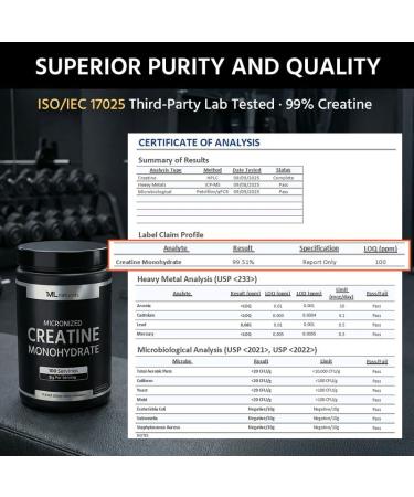 ML Naturals Micronized Creatine Monohydrate 200 Mesh Powder 500g (17.9oz) 100 Serving Pure & Unflavored Vegan Gluten Free Non-GMO Third-Party Lab Tested 500g (Pack of 1) - Buy Online on GoSupps.com