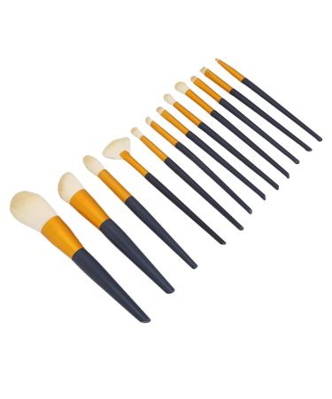 ZJchao 12-Piece Makeup Brush Set | Beginner Eyeshadow Powder Blush & Concealer Brushes with Orange PU Case - Perfect for International Shipping - Buy Online on GoSupps.com