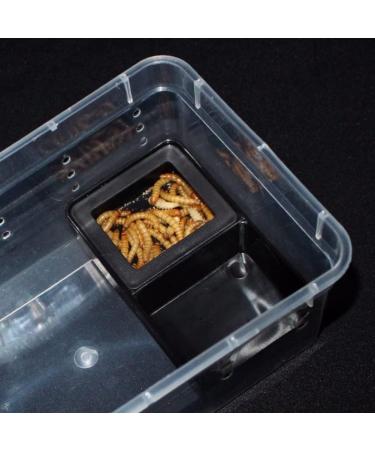 10Pcs Reptile Feeder Dish Amphibians Double Food Water Bowl Anti-esHate Worm Feeding Basin for Tortoise Gecko Snakes Lizard Spider - Buy Online on GoSupps.com