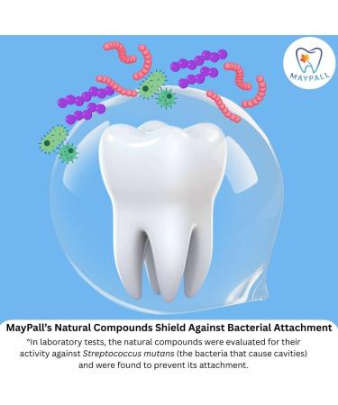 Bubble Gum and Watermelon Flavored Kid's Mouthwash Safe to Swallow Natural Promotes Healthy Teeth Gentle Taste No Burn Fluoride Free Alcohol Free 16.9oz (Pack of 2). Bubblegum + Watermelon - Buy Online on GoSupps.com