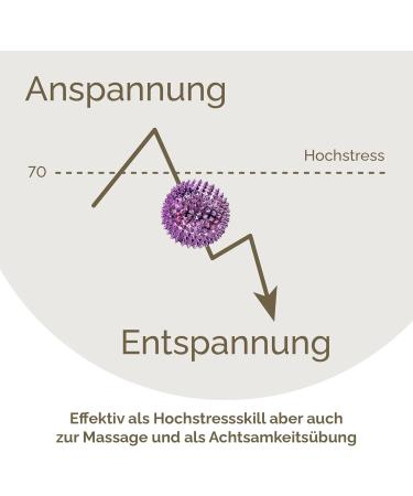 2x DBT Skills Hedgehog Ball - Magnetic Acupressure Stress Relief Massage Ball (Purple 47mm) for Tension Mobility & Concentration - Buy Online on GoSupps.com