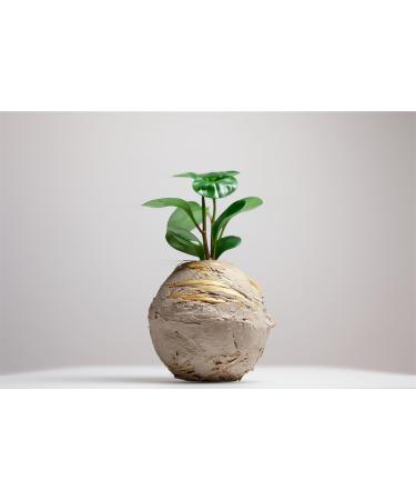 natural handmouldable pasta without baking sustainable and ideal for creative hobbies doityourself pack of 4 pieces of 1 kg each - Buy Online on GoSupps.com