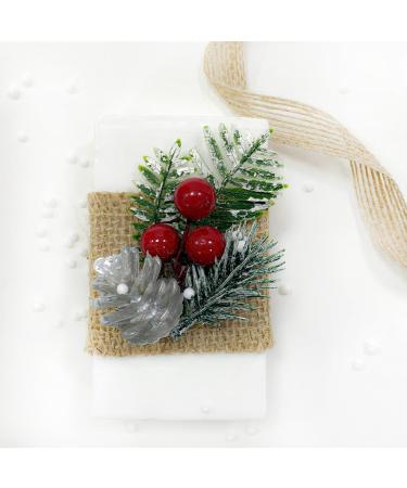 Buy PEARLWORLD Handmade Christmas Gift Soaps - Natural Essential Oil Hand & Body Care for All - Buy Online on GoSupps.com