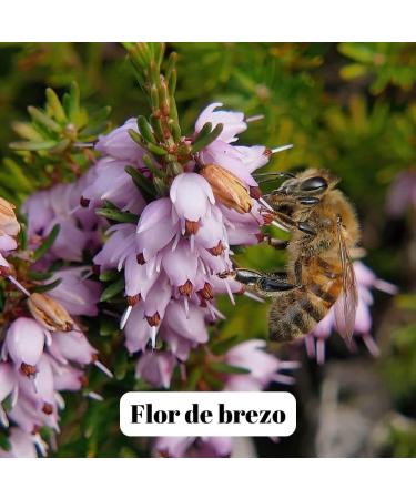 L'Abella Mel - 100% Natural Heather Honey | Pure Bee Honey - Artisanally Harvested on the Costa Blanca Spain - Gluten Free - 1000g - Buy Online on GoSupps.com