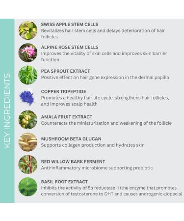EVOLVh Better Roots RootBoost Serum - Natural Scalp Wellness + Hair Regrowth | Vegan, Non-Toxic, Clean Hair Care (1 fl oz | 30 ml) - Buy Online on GoSupps.com