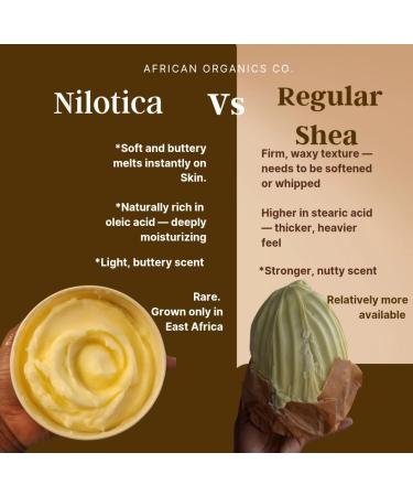 Nilotica Shea Butter 4 Pounds | East African Shea Butter| Creamy Whole Body Moisturizer for dry Skin| Organic Skin care wholesale (4 Pounds) - Buy Online on GoSupps.com