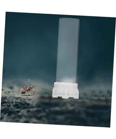 Yardwe Ants Water Dispenser & Irrigation Cup | Ant Feed & Holder Tools for Ant Nests | 10x3 cm - Buy Online on GoSupps.com