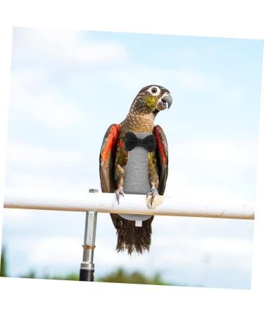 Shop Minkissy Flying Bird Diapers | Multifunctional Pet Costumes & Clothing - Gray Cotton 17x9cm - Buy Online on GoSupps.com